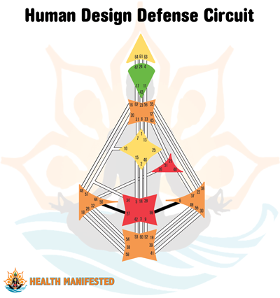Human Design Circuitry - Defense Circuit