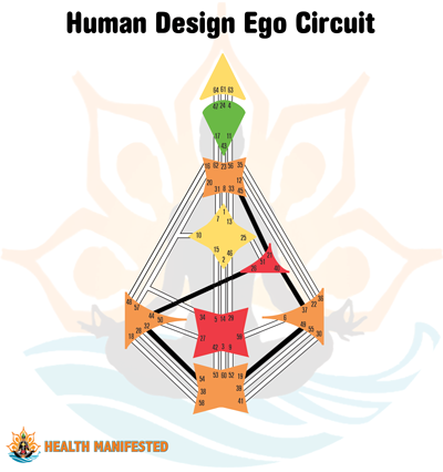 Human Design Circuitry - Ego Circuit