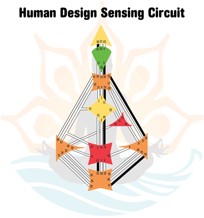 Human Design Circuitry - Sensing Circuit