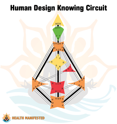 Human Design Knowing circuit