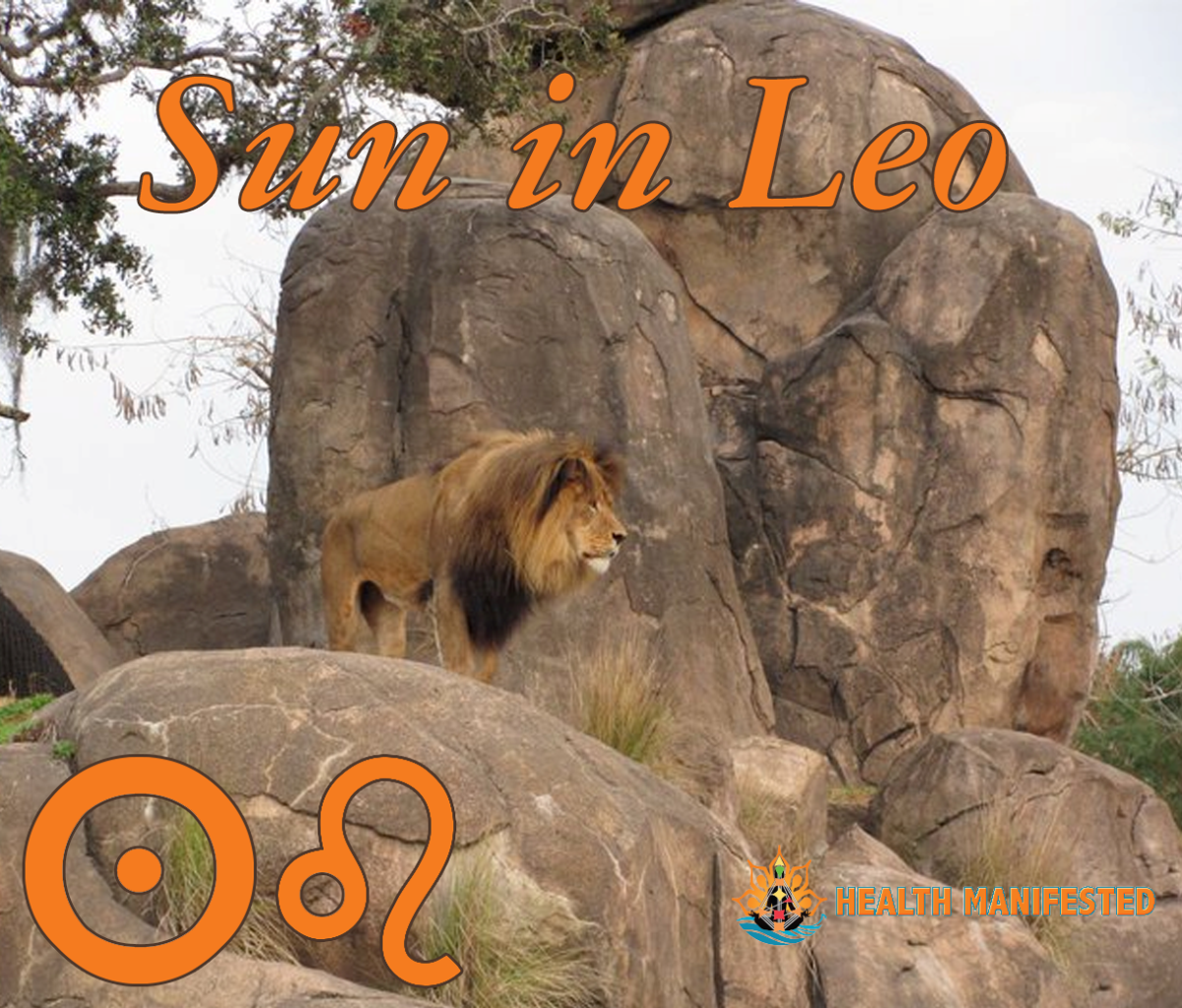 Sun in Leo