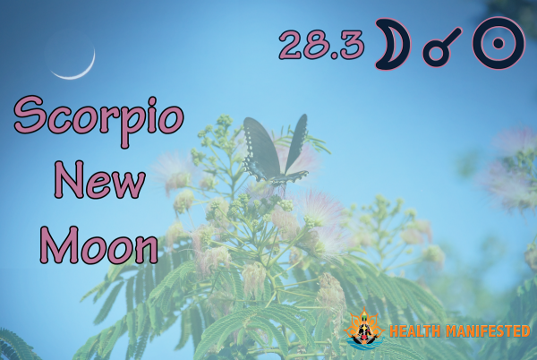 Scorpio New Moon 2019 - Health Manifested