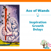 Ace of Wands Tarot