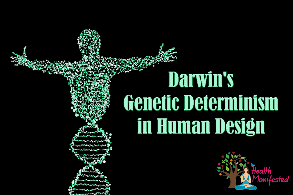 Darwin's Genetic Determinism in Human Design