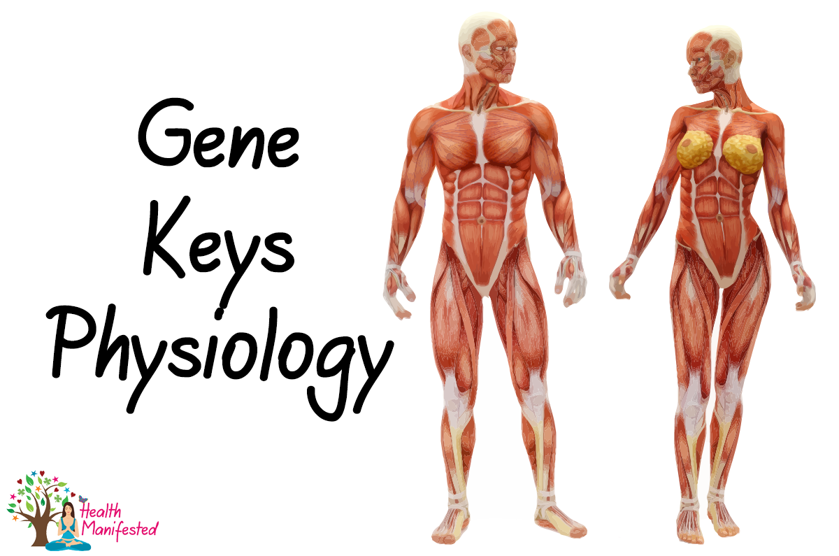 Gene Keys Physiology