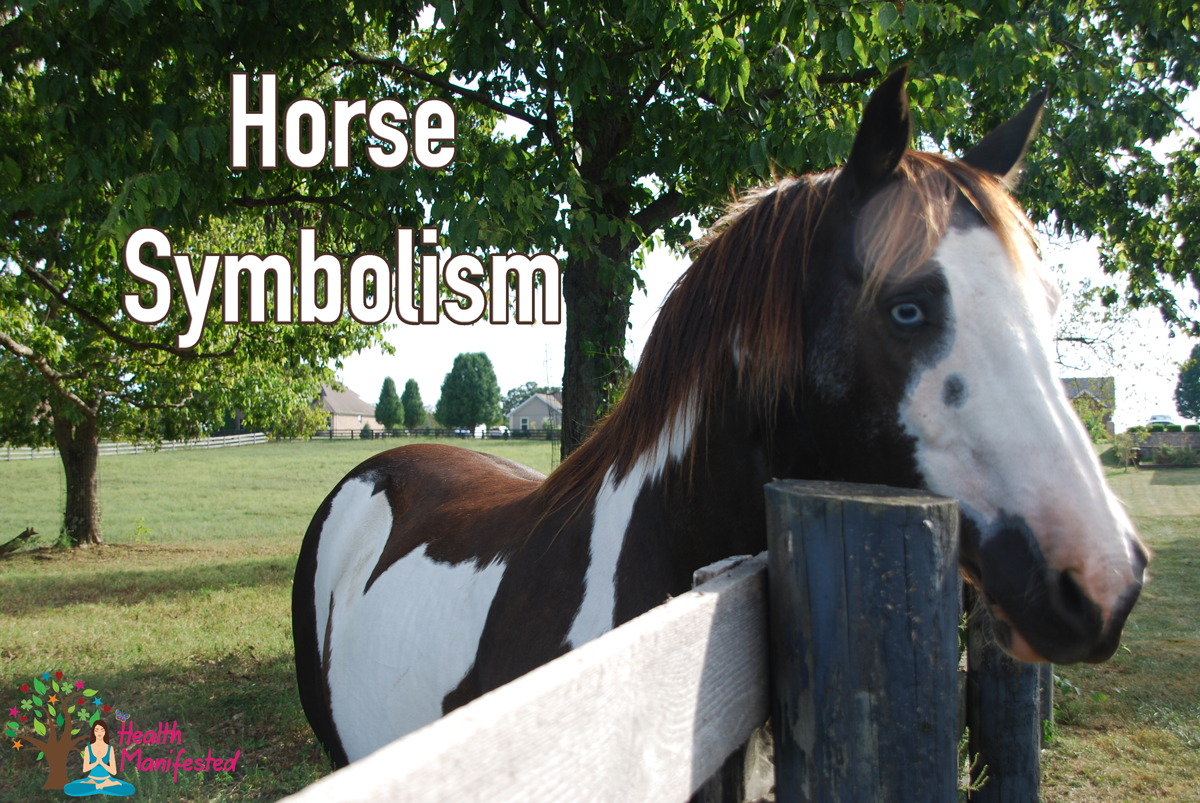 horse symbolism