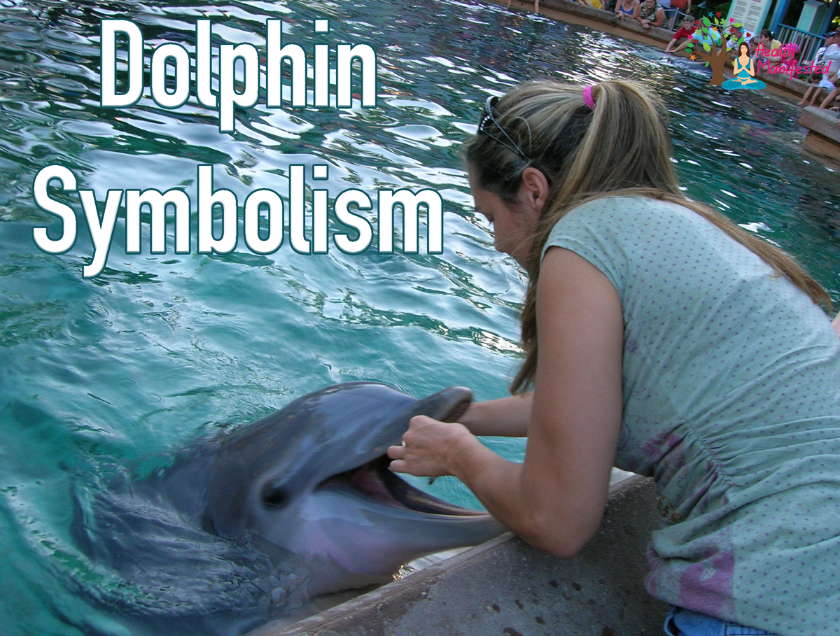 Dolphin Symbolism Health Manifested