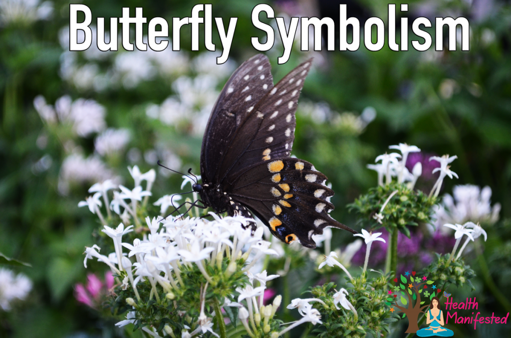 Butterfly Symbolism - Health Manifested