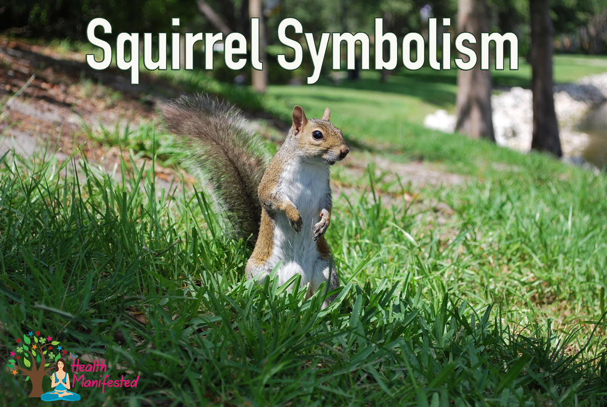 Squirrel Symbolism