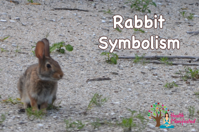 Rabbit Symbolism Health Manifested